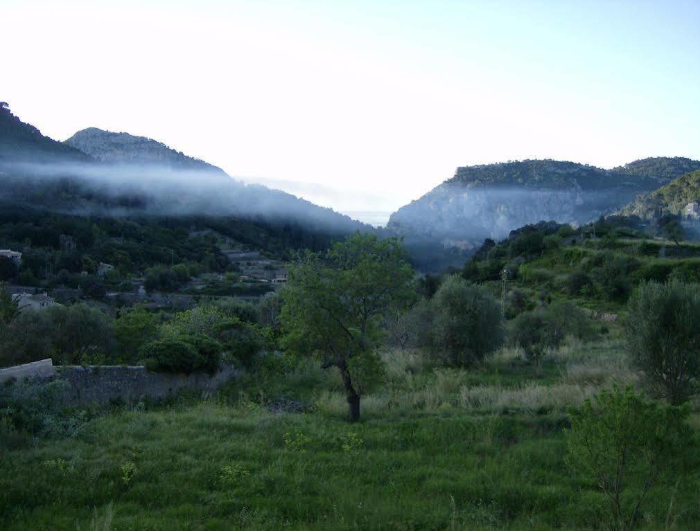 Es Petit De Valldemossa
